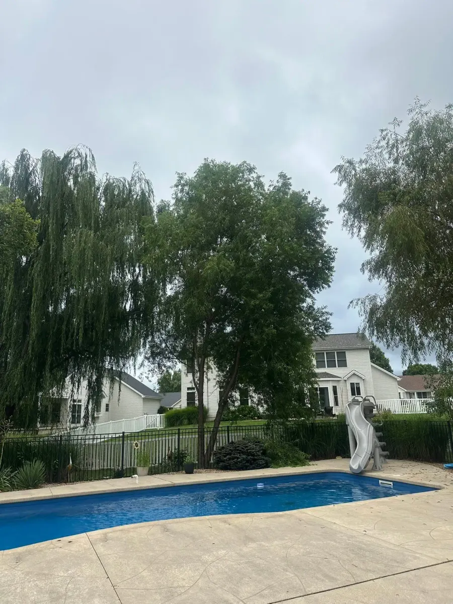 Large tree crowding a home before removal in St. Charles, MO