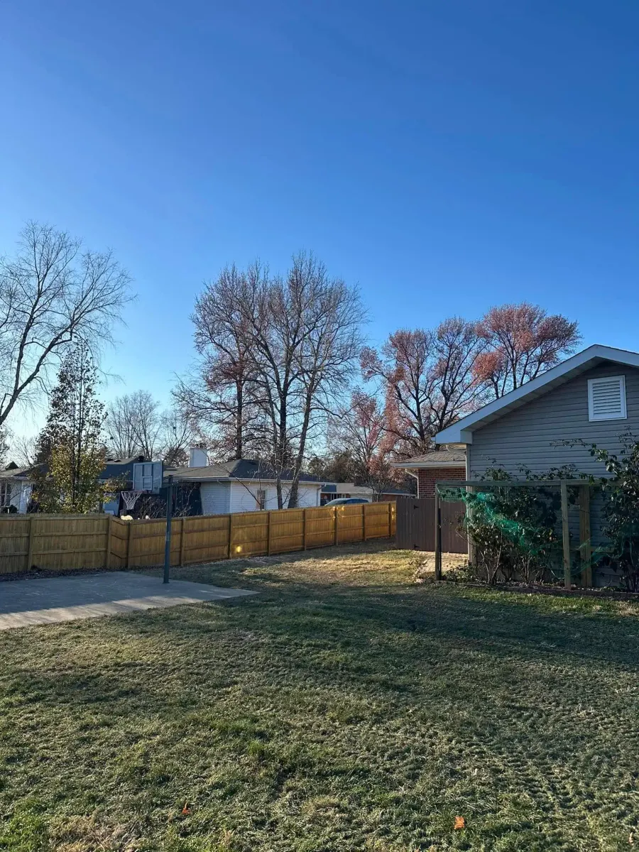 Backyard opened up after tree clearing